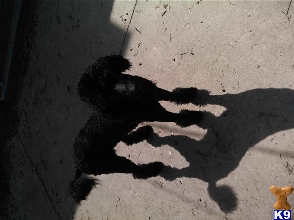 weimytime Picture 2